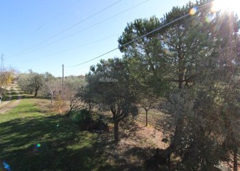 Foto 24 - Rustico contrada pagliare, Monsampolo del Tronto - foto 24