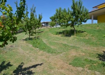 Foto 6 - Rustico Strada Provinciale, Offida - foto 6