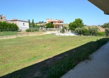 Foto 10 - Rustico Strada Provinciale, Offida - foto 10