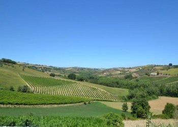 Foto 9 - Rustico spinetoli, Spinetoli - foto 9