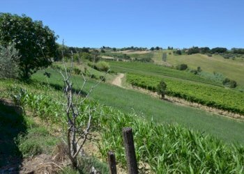 Foto 10 - Rustico spinetoli, Spinetoli - foto 10