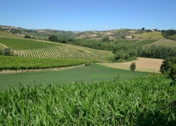 Foto 11 - Rustico spinetoli, Spinetoli - foto 11