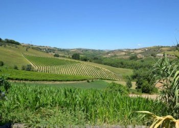 Foto 12 - Rustico spinetoli, Spinetoli - foto 12