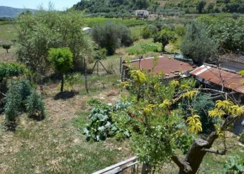 Foto 17 - Rustico spinetoli, Spinetoli - foto 17