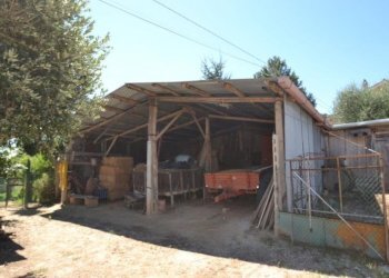 Foto 23 - Rustico spinetoli, Spinetoli - foto 23