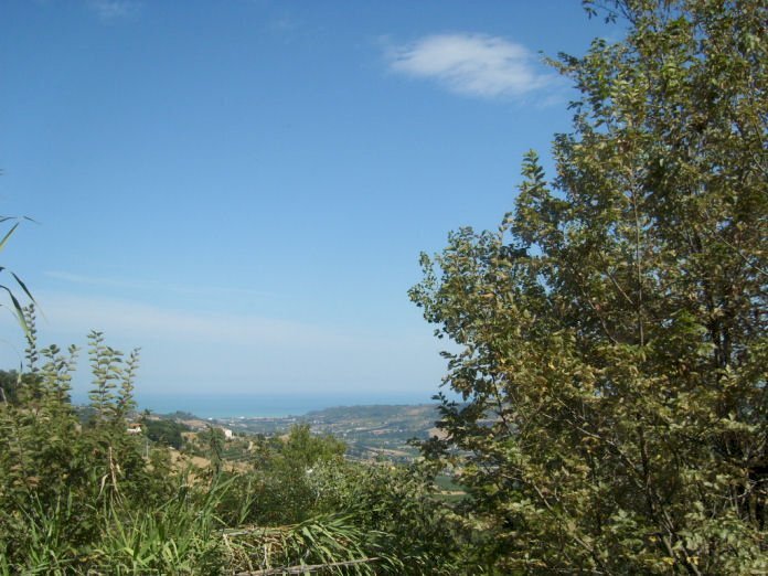 Foto 1 - Rustic Montefiore, Montefiore dell'Aso - photo 1