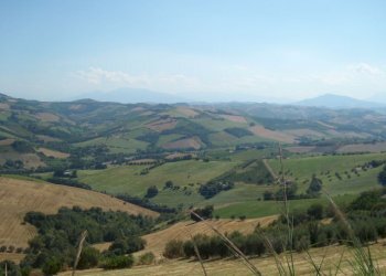 Foto 2 - Rustico Montefiore, Montefiore dell'Aso - foto 2