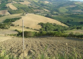 Foto 3 - Rustico Montefiore, Montefiore dell'Aso - foto 3