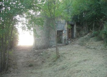 Foto 4 - Rustico Montefiore, Montefiore dell'Aso - foto 4