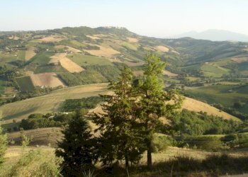 Foto 7 - Rustico Montefiore, Montefiore dell'Aso - foto 7