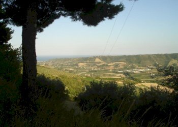 Foto 8 - Rustico Montefiore, Montefiore dell'Aso - foto 8