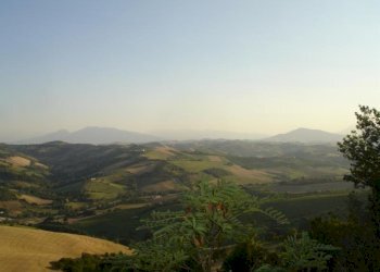Foto 10 - Rustico Montefiore, Montefiore dell'Aso - foto 10