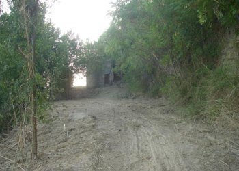 Foto 13 - Rustico Montefiore, Montefiore dell'Aso - foto 13