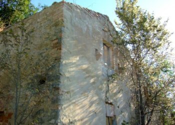 Foto 16 - Rustico Montefiore, Montefiore dell'Aso - foto 16