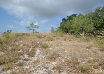 Foto 19 - Rustico Montefiore, Montefiore dell'Aso - foto 19