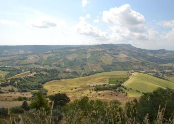 Foto 20 - Rustico Montefiore, Montefiore dell'Aso - foto 20