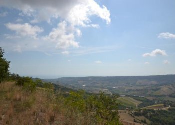 Foto 22 - Rustico Montefiore, Montefiore dell'Aso - foto 22