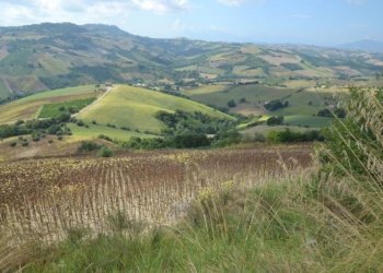 Foto 25 - Rustico Montefiore, Montefiore dell'Aso - foto 25