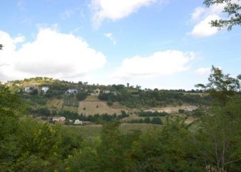 Foto 26 - Rustico Montefiore, Montefiore dell'Aso - foto 26