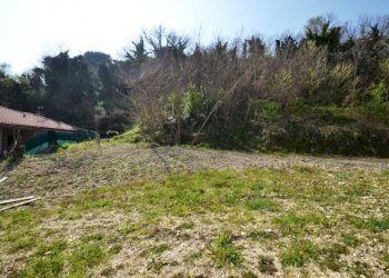 Foto 4 - Terreno edificabile strada provinciale 175, Acquaviva Picena - foto 4