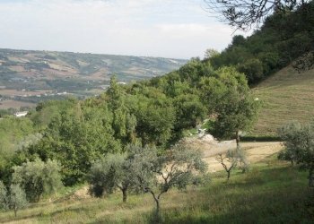 Foto 4 - Rustico Montefiore, Montefiore dell'Aso - foto 4