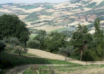 Foto 14 - Rustico Montefiore, Montefiore dell'Aso - foto 14