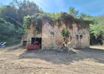 Foto 2 - Rustico Montefiore, Montefiore dell'Aso - foto 2