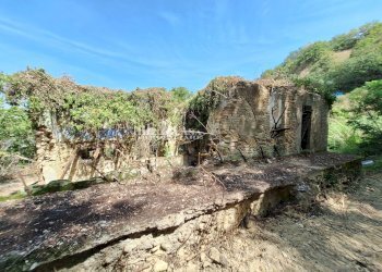 Foto 5 - Rustico Montefiore, Montefiore dell'Aso - foto 5