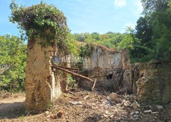 Foto 7 - Rustico Montefiore, Montefiore dell'Aso - foto 7