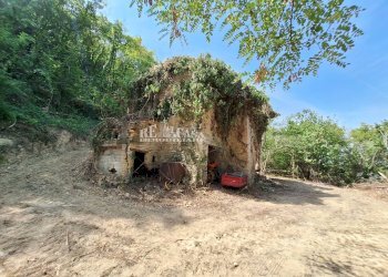 Foto 8 - Rustico Montefiore, Montefiore dell'Aso - foto 8