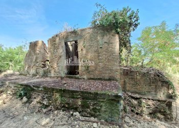 Foto 9 - Rustico Montefiore, Montefiore dell'Aso - foto 9