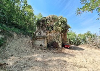 Foto 10 - Rustico Montefiore, Montefiore dell'Aso - foto 10