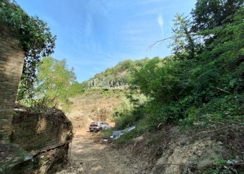 Foto 16 - Rustico Montefiore, Montefiore dell'Aso - foto 15