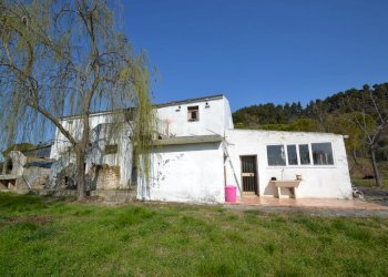 Foto 5 - Rustico Contrada Solagne, San Benedetto del Tronto - foto 5