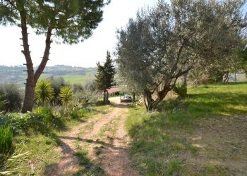 Foto 6 - Rustico Contrada Solagne, San Benedetto del Tronto - foto 6