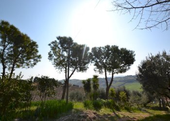 Foto 7 - Rustico Contrada Solagne, San Benedetto del Tronto - foto 7