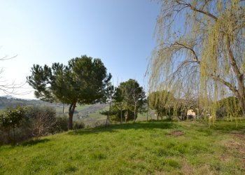 Foto 8 - Rustico Contrada Solagne, San Benedetto del Tronto - foto 8