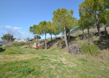 Foto 10 - Rustico Contrada Solagne, San Benedetto del Tronto - foto 10