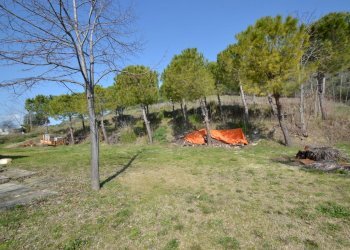 Foto 11 - Rustico Contrada Solagne, San Benedetto del Tronto - foto 11