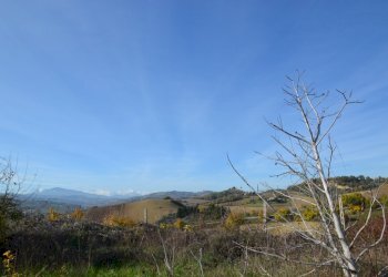 Foto 8 - Rustico Contrada San Rustico, Ripatransone - foto 8