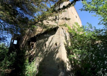 Foto 20 - Rustico Contrada San Rustico, Ripatransone - foto 20