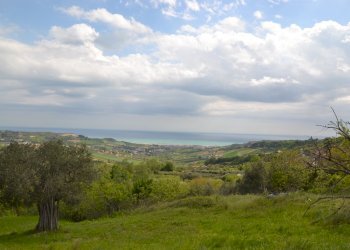 Foto 3 - Villa Acquaviva, Acquaviva Picena - foto 3