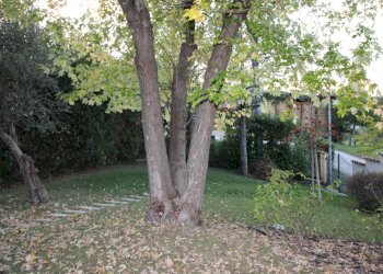 Foto 30 - Villa via ugo foscolo, Appignano del Tronto - foto 29