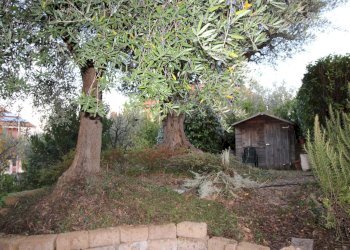 Foto 36 - Villa via ugo foscolo, Appignano del Tronto - foto 35