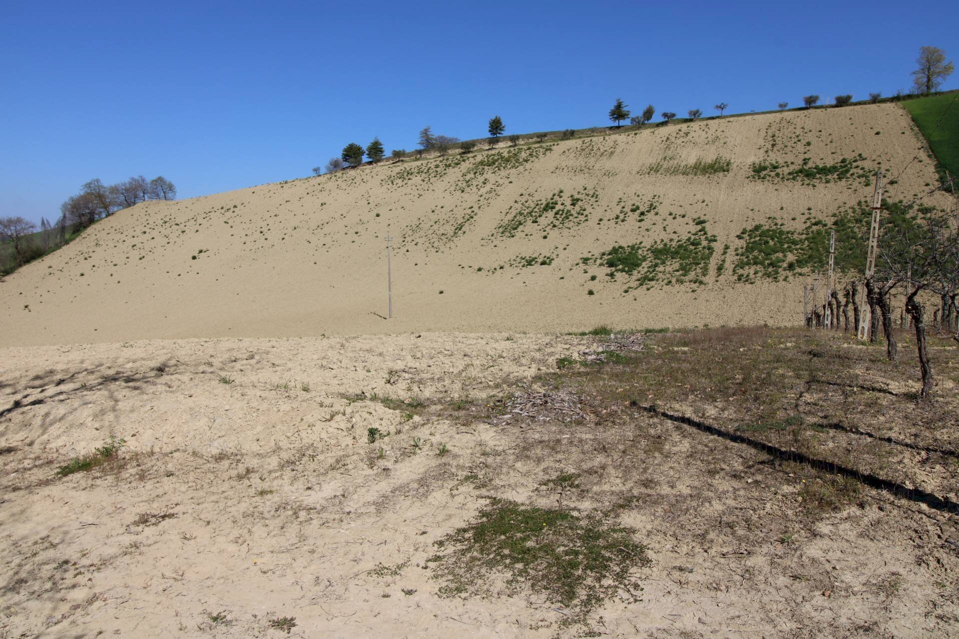 Foto 3 - Terreno agricolo via del mulino, Montottone - foto 3