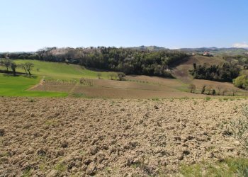 Foto 1 - Terreno agricolo via del mulino, Montottone - foto 1