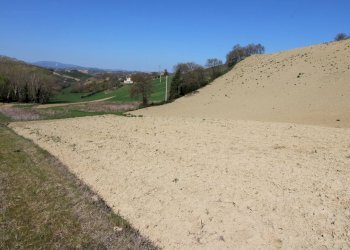 Foto 6 - Terreno agricolo via del mulino, Montottone - foto 6