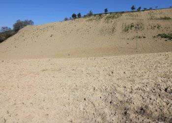 Foto 7 - Terreno agricolo via del mulino, Montottone - foto 7