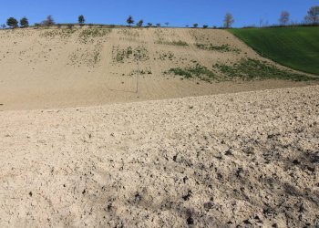 Foto 8 - Terreno agricolo via del mulino, Montottone - foto 8