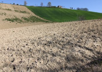 Foto 9 - Terreno agricolo via del mulino, Montottone - foto 9